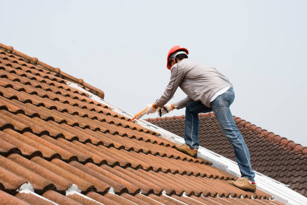 Best Asphalt Shingles Roofing  in Nd Point, WI